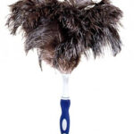 Švelnių plunksnų šluotelė