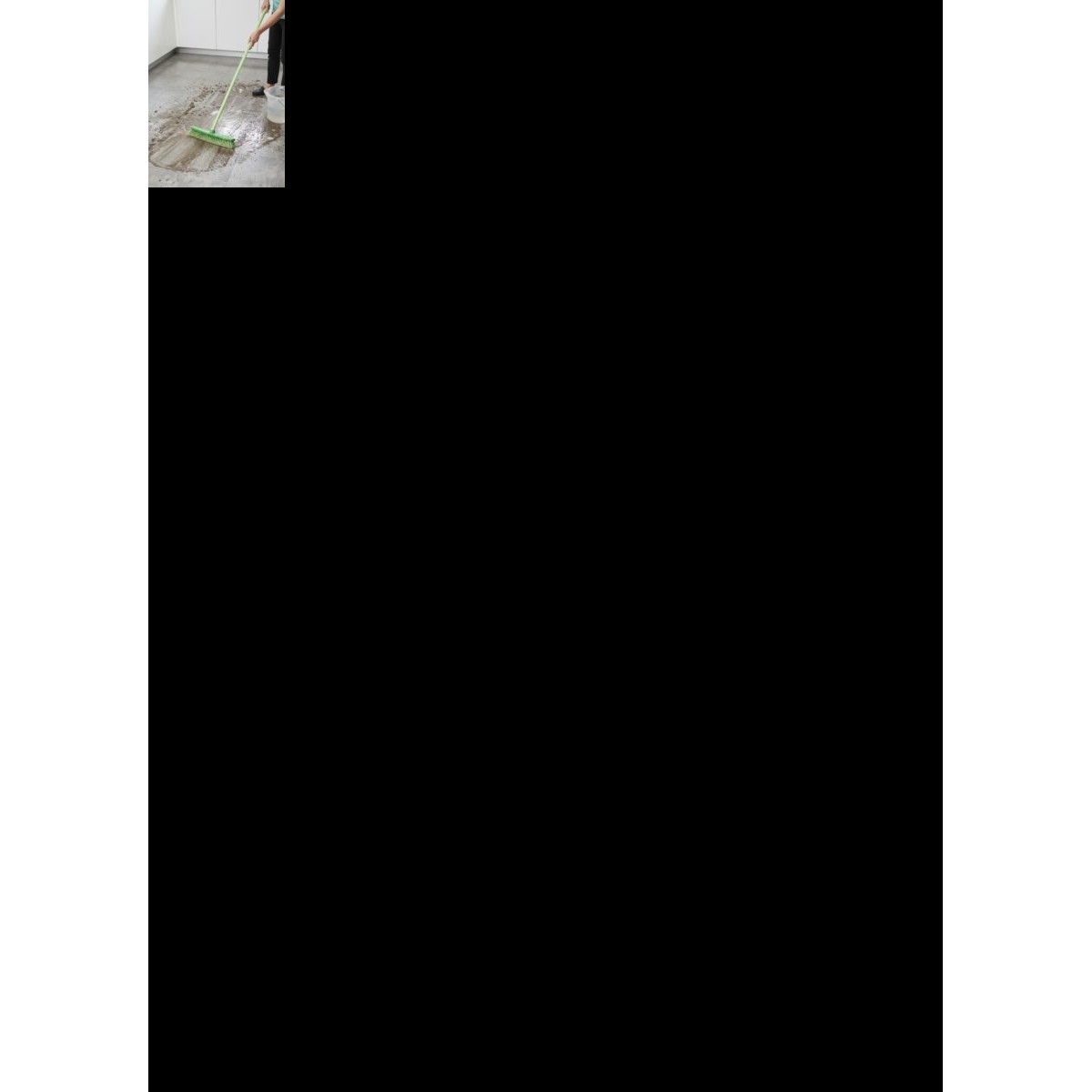 Šepetys šveitimui